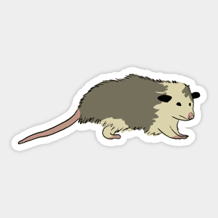 opossum sticker Sticker